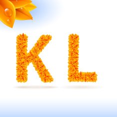 Sans serif font with fall leaf decoration N12