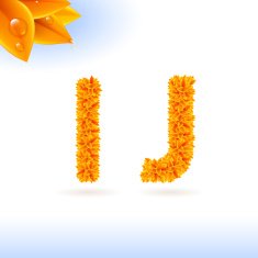 Sans serif font with fall leaf decoration N13