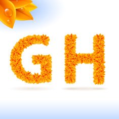 Sans serif font with fall leaf decoration N14