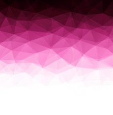 Abstract geometric polygonal background N13
