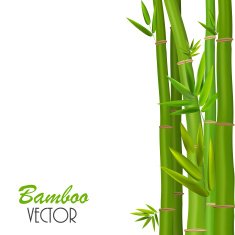 Colorful Stems and Bamboo Leaves Vector Illustration