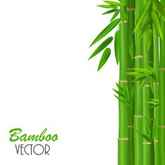 Colorful Stems and Bamboo Leaves Vector Illustration N3