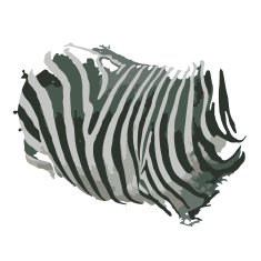 Zebra print for your design N2