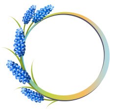 Holiday background with blue flowers Vector