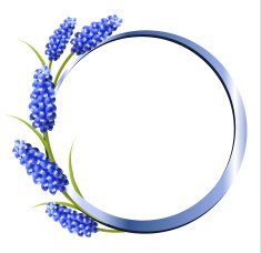 Holiday background with blue flowers Vector N2