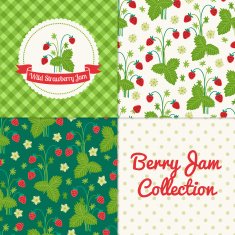 Homemade wild strawberry jam collection