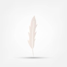 Feather icon