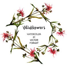 Wildflowers N3