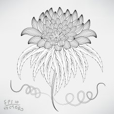 Floral Elements for design N14