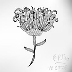 Floral Elements for design N27