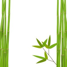 Colorful Stems and Bamboo Leaves Vector Illustration N5