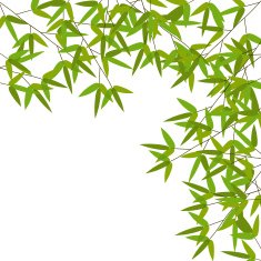 Colourful Bamboo Leaves Vector Illustration