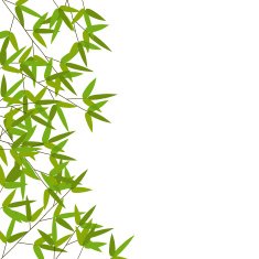 Colourful Bamboo Leaves Vector Illustration N2