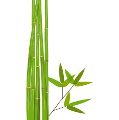 Colorful Stems and Bamboo Leaves Vector Illustration N8