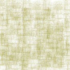 Grunge abstract background N850