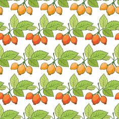 Vector Rosehip Sosa Berries Stripes Seamless Pattern