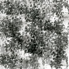 Grunge abstract background N890