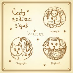 Sketch cats zodiac signs in vintage style N3