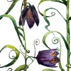 Wildflowers N5
