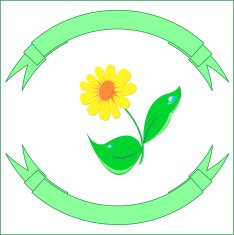 yellow plant flower with green leaves in the vignettes