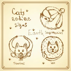 Sketch cats zodiac signs in vintage style N4