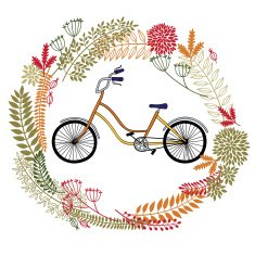 Bicycle N26