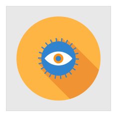 Supervision icon