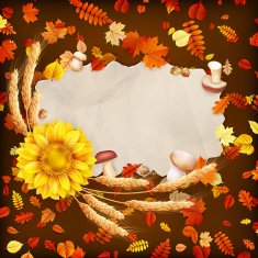 Colorful leaves background EPS 10