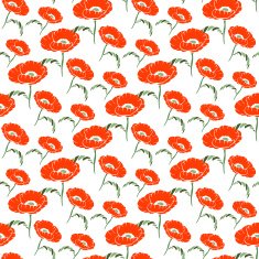 Seamless floral pattern with hand drawn poppy on white background