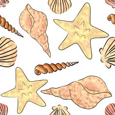 seamless shells