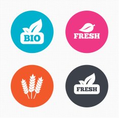Natural fresh Bio food icons N3