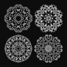 Abstract vector circle floral ornamental border N2