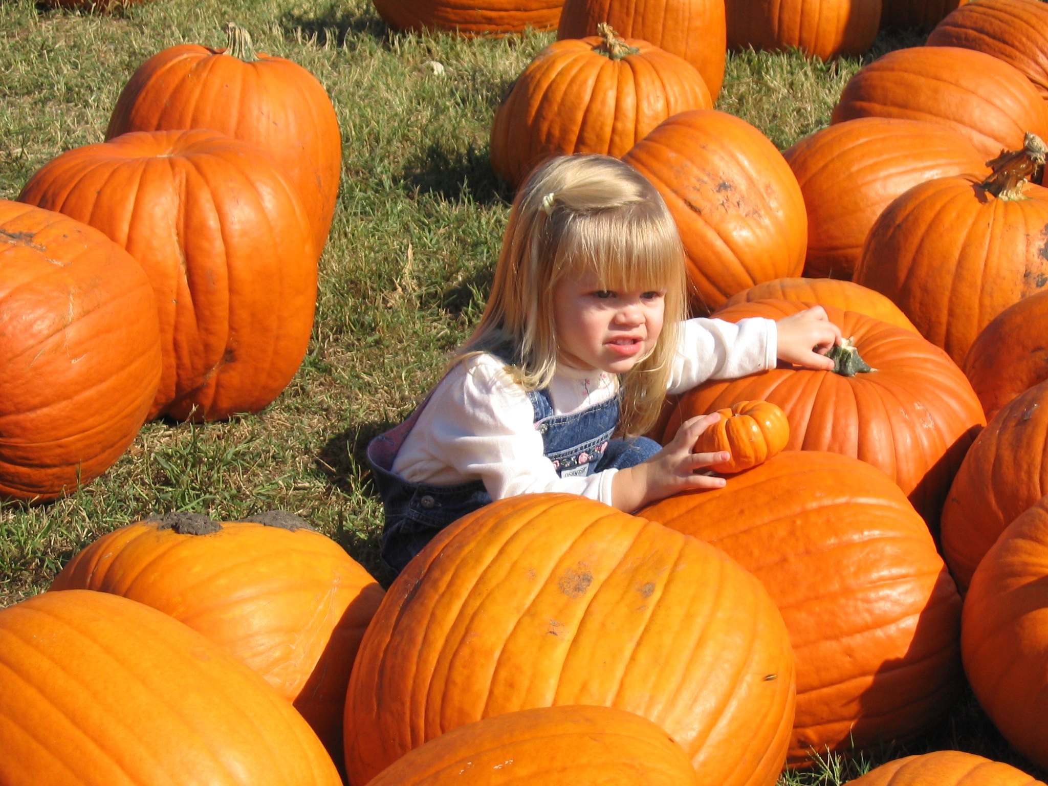 Teddy Rumpkins