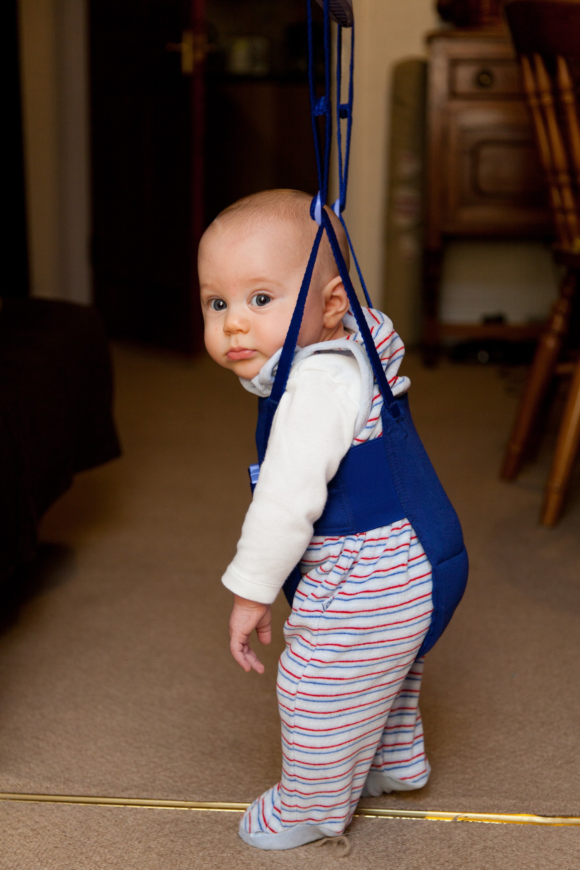 Baby in bouncer free image download