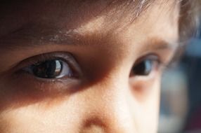 brown eyes of child girl with black eyelashes