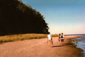 landscape of people walking on a beach