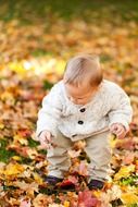 little baby on autumn leaves