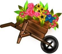 push cart drawing