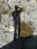 the person's shadow on the stone