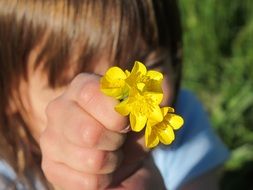 child girl holds yellow flowers in front of face