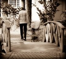 old man with small dog outdoor, back view