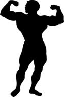 bodybuilding, silhouette of muscle man, icon