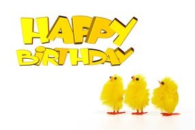 happy birthday greeting luck happy fluffy yellow color chicks