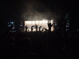 the crowd at a rock concert