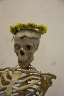 wreath of yellow dandelions on the skeleton