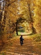 child on a bicycle among autumn leaves