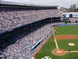 sports stadium filled with people