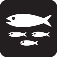 white fish on black background