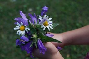 flowers strauss purple and white color in the child hands