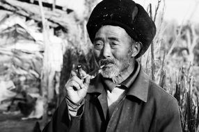 old asian bearded man